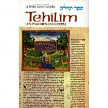 Sefer Tehilim - Les Psaumes II - Rabbin Avrohom Chaim Feuer  - 2