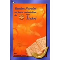 Yamim Noraim - Les jours redoutables de Tichri - Rav Mena'hem Berros  - 1