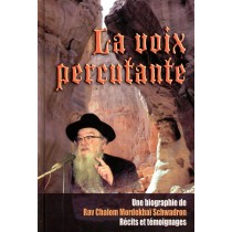 La voix percutante - Y. Ariel  - 1