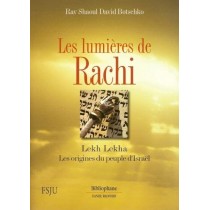 Les lumières de Rachi - Lekh Lekha - Rav Shaoul David Botschko  - 2