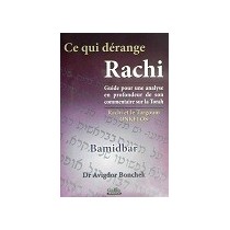 Ce qui dérange Rachi - Bamidbar - Dr Avigdor Bonchek Gallia - 1