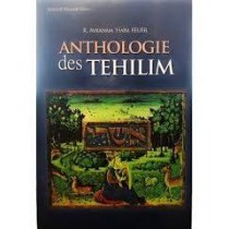 Anthologie des Tehilim ArtScroll Mesorah Series - 1
